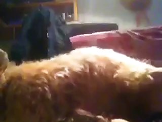 Cosplay - Submissive Kitty Getting Cum-impregnated By Boyfriend On Webcam - Part 1 - More Free Amateur Dog Porns On Amateur Dog Porn-cam-girls.com