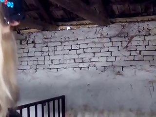 Crazy Hot Boar Porn