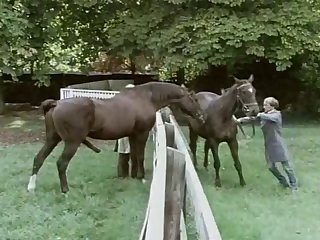 Mating Call Of The Wild Farm Animals