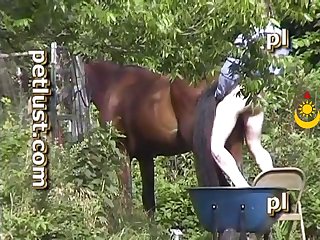 Petlust Men Stallion