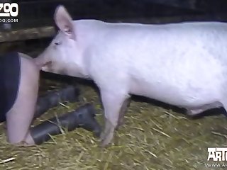 Pornhd8k