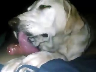 Young Guy Licked Off