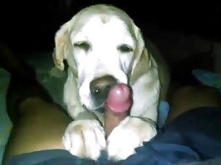 Young Guy Licked Off