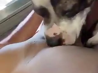 Ebony Teen With Dog