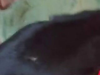 Helping Train A Bitch