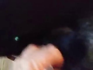 Helping Train A Bitch