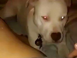 She Wants It