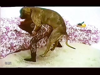 Bfi Classic Mostly Unknown