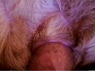 Sex Scene Doggy