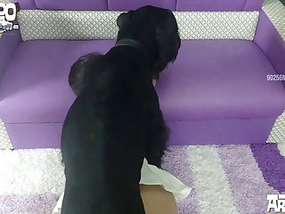 Monkey Sucking Dick