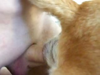 Xootube