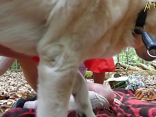 Bestiality Cumshot Porn