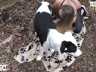 Bestiality Premium Porn