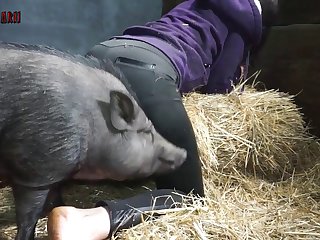 Bestiality Orgasm Porn