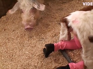 Animal Porn Sites