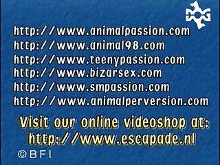 Animal Milf Porn