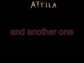 Animal Gay Porn Twitter