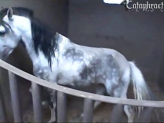 Xnxx Animal Porn Collection