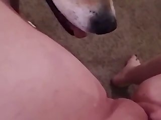 Animal Sex Porn Hub