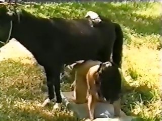 Animal Porn Child