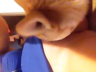 Animal Lick Porn