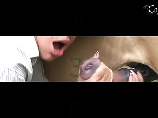 Porno Zoofilia De Hombres