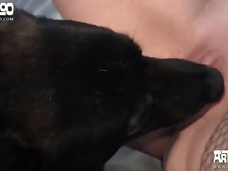 Zoofilia Porno Nuevo