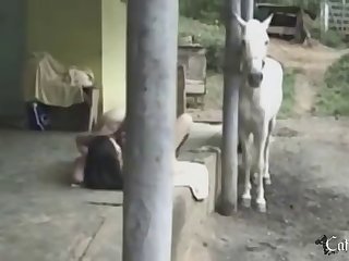 Mujeres Teniendo Sexo Zoofilia