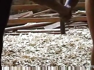 Zoofilia Gozando Na Vaca