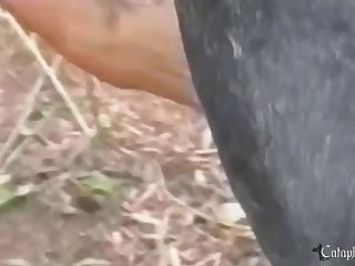 Relatos En Audio De Zoofilia