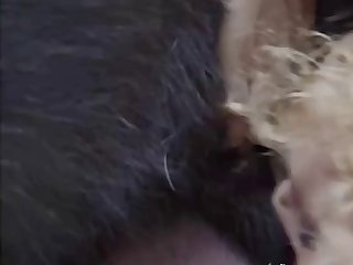 Videos Pornos Zoofilia Gay