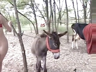 Porno De Zoofilia Gratis