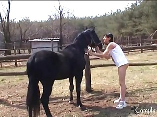 Zoofilia Con Gallinas Porno