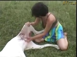 Sex Scene Doggy