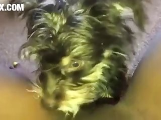 Really Loose Pussy