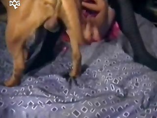 Big Dog Cocks