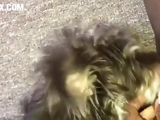 Dolphin Fucks Human