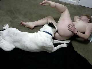 K9 Cum
