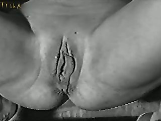 Can Dogs Cum