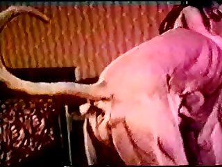 Xxx Veronica Silesto