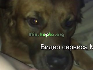 Dog Fucks Dog