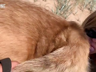 Dog Licks My Dick
