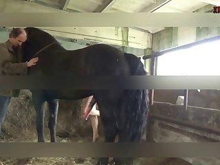 Artsofzoo