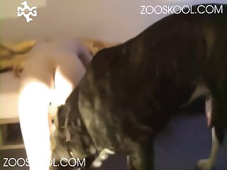 First Time With Dog Fuck