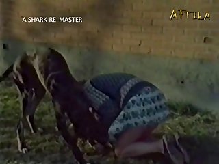 Dog Fuck His Master