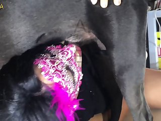Hidden Cam Wife Fuck Dog