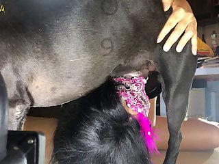 Shepherd Dog Fuck Girl