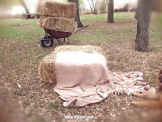 Dog And I Fuck Wife