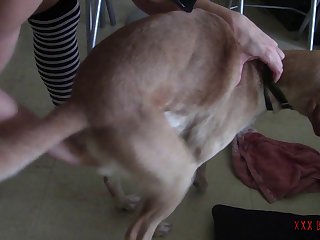 Dog Fuck Girl Brazzers
