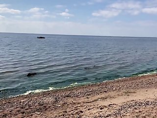 Watching Girl Fuck Dog